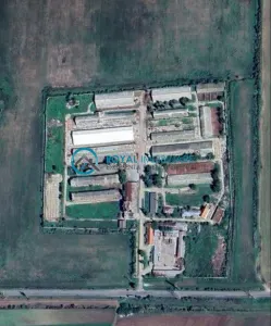 Royal Imobiliare - Vanzare ferma zootehnica, zona Tomsani - Tomsani