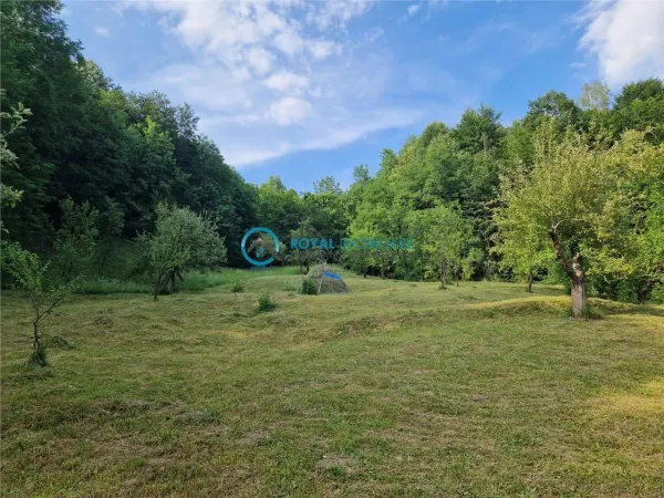 Casă 4 camere Valea Tarsei - poza 15