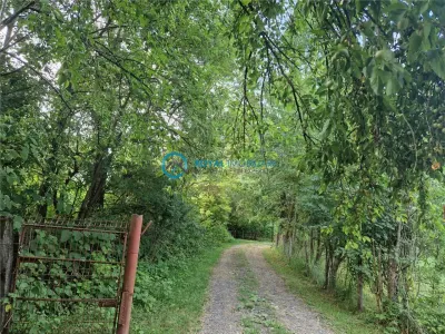 Royal Imobiliare - Vanzare casa Valea Tarsei - Breaza - foto 9