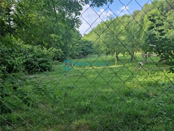 Casă 4 camere Valea Tarsei - poza 10