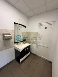 Royal Imobiliare - Inchiriere spatiu industrial zona Tantareni - foto 13