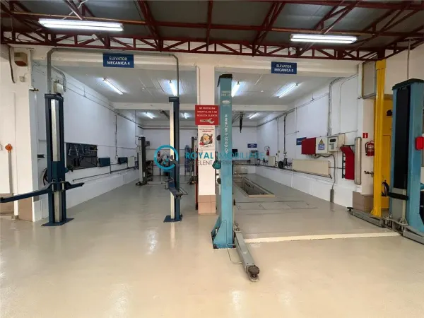 Spațiu industrial Ploiești - poza 8