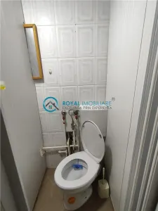 Royal Imobiliare - Inchirieri birouri zona Cantacuzino - foto 17
