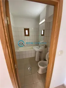 Royal Imobiliare - Vanzare Vila Zona Albert - foto 18