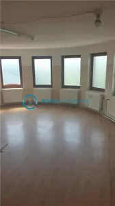 Royal Imobiliare - Inchiriere vila 10 camere zona Cantacuzino - foto 2