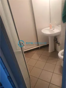 Royal Imobiliare - Inchiriere spatiu comercial zona 9 Mai - foto 9