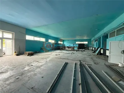 Royal Imobiliare - Inchirieri Spatii Industriale Paulesti - foto 2