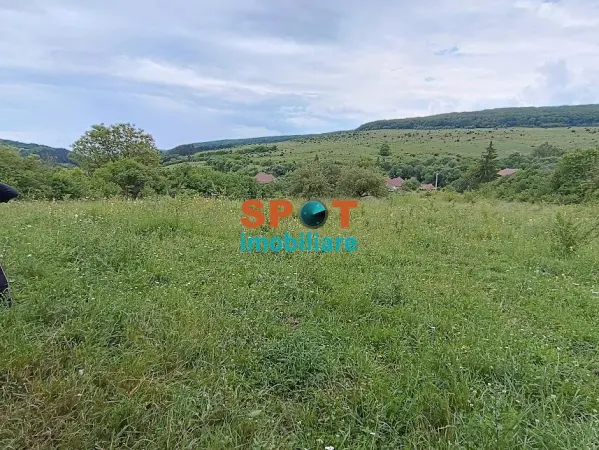 Teren Micești - poza 11
