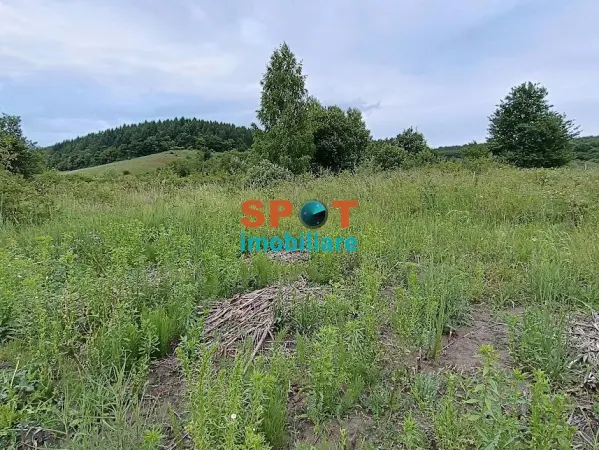 Teren Micești - poza 6