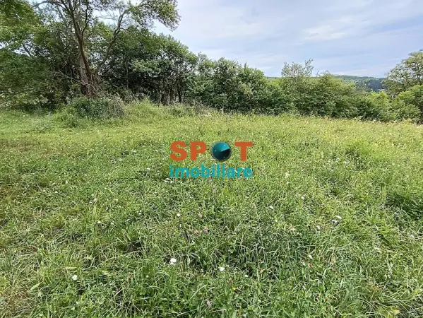 Teren Micești - poza 8