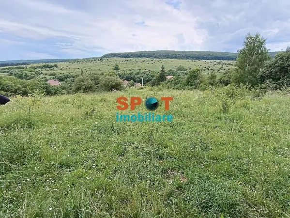 Teren Micești - poza 9