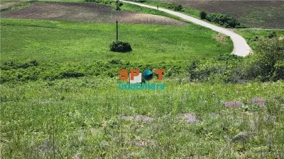 Teren extravilan 2.5 ha – investitie ideala, sat Visa - foto 6
