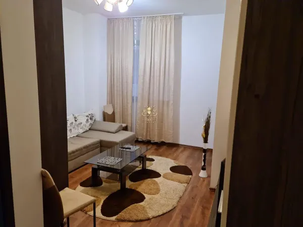 Apartament 1 camera Iași - poza 1