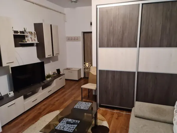 Apartament 1 camera Iași - poza 2