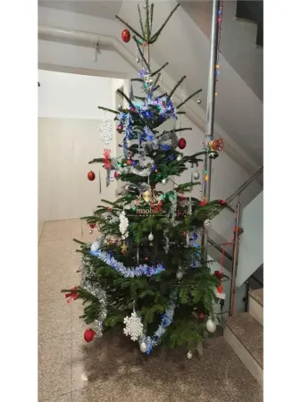 Apartament 1 camera Iași - poza 5