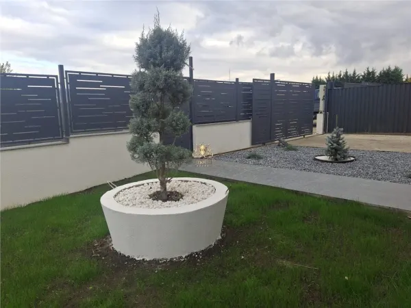 Casă 4 camere Iași - poza 3