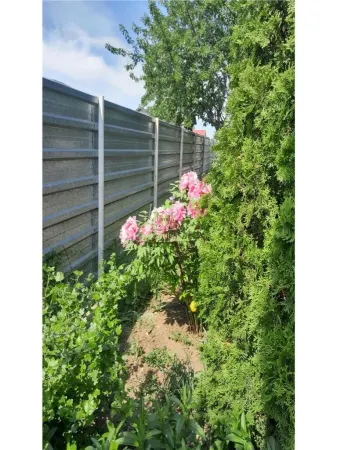 Casă 4 camere Miroslava - poza 13