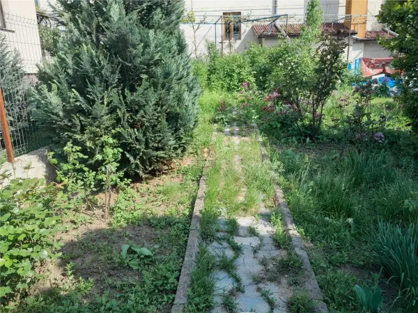 Casă 4 camere Miroslava - poza 25