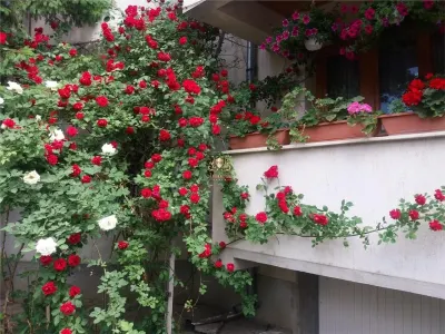 Investititie-Casa si hala de productie -732 mp teren centru Botosani! - foto 7