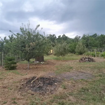 Teren Iași - poza 15