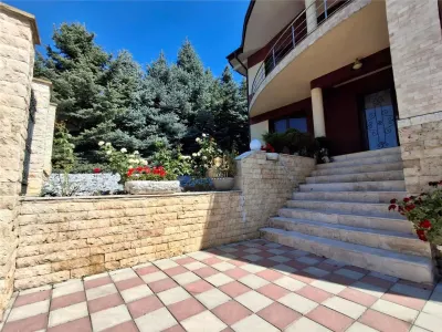 Vila eleganta -  proiect deosebit crama garaj sala de fitnes foisor si 825m teren Plopii fara sot Bucium. - foto 1