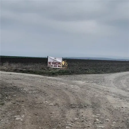 Teren Iași - poza 1