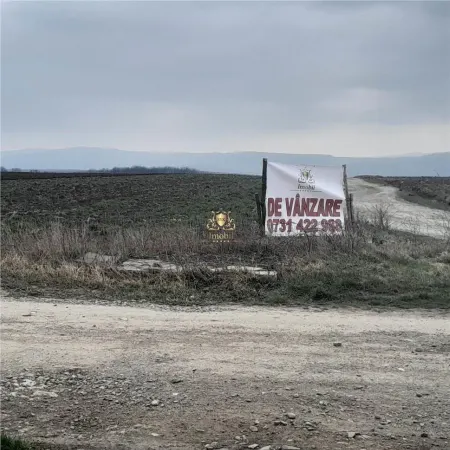 Teren Iași - poza 2