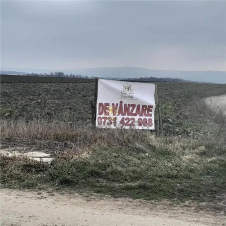 Teren Iași - poza 3