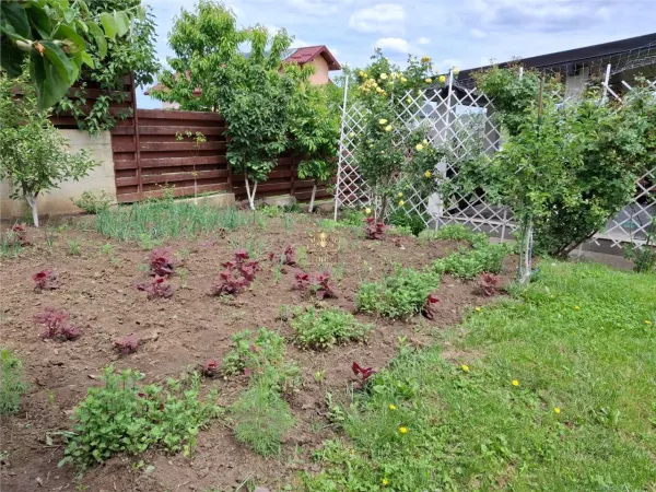 Casă 5 camere Iași - poza 7