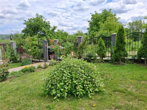 Casă 5 camere Iași - poza 8