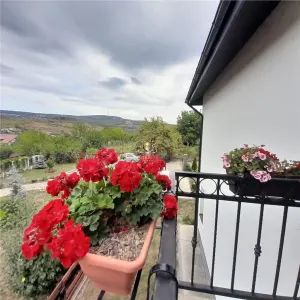 Casa cu 5 camere linga Hanul Trei Sarmale cu 645 mp teren.  Persoana fizica! - foto 13