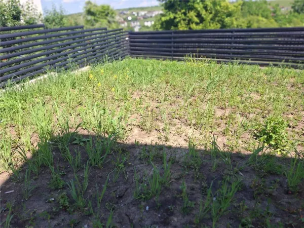 Casă 4 camere Iași - poza 13