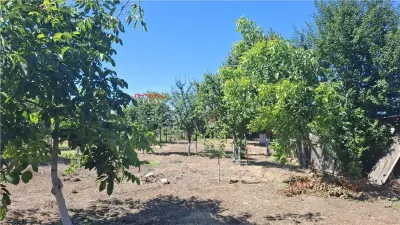 Casa cu teren 2783 mp- Panciu-Satu Nou - foto 13