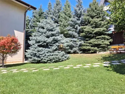 Vila eleganta -  proiect deosebit crama garaj sala de fitnes foisor si 825m teren Plopii fara sot Bucium - foto 18