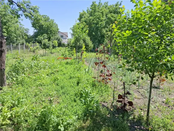 Casă 3 camere Focșani - poza 3