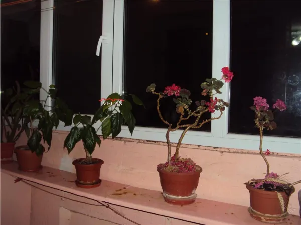 Apartament 3 camere Focșani - poza 10
