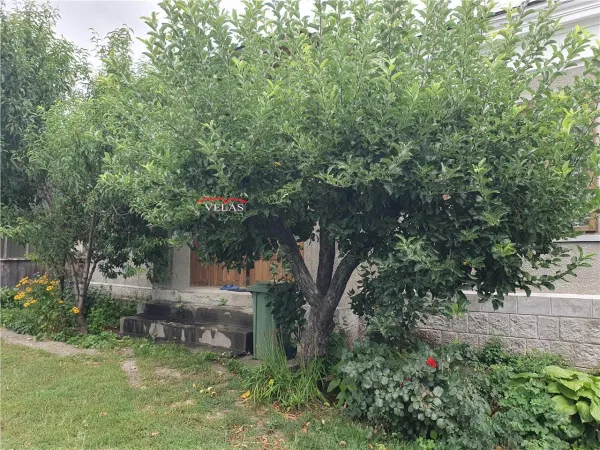 Casă 5 camere Jaristea - poza 13