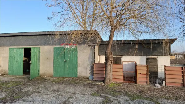 Casă 6 camere Maicanesti - poza 20