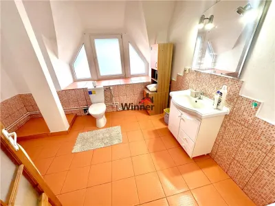 Vanzare Vilă B-dul Unirii Buzău (Ultracentral) - foto 6