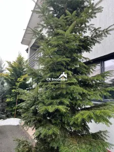 Vanzare Vila Otopeni Central Tip Insiruit - foto 13