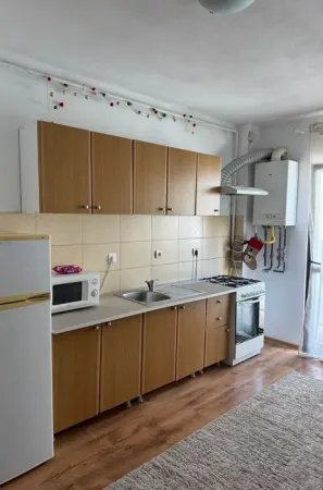 Apartament 1 camera Șelimbăr - poza 2