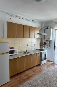 Apartament 1 camera Șelimbăr - poza 2