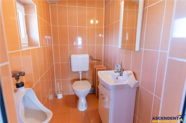 Spațiu comercial Ghelinta - poza 15