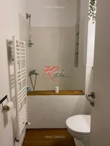 Inchiriere spatiu open space Eminescu Birou - foto 7