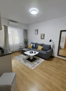 Inchiriere Garsoniera Semidecomandata Berceni-Lunca Barzesti - Bucuresti