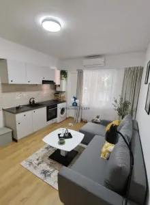 Inchiriere Garsoniera Semidecomandata Berceni-Lunca Barzesti - foto 2
