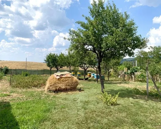 Casă 3 camere Brusturi - poza 9