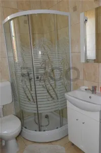 RECO Casa / Pensiune de inchiriat in Sanmartin – 8 camere - foto 12