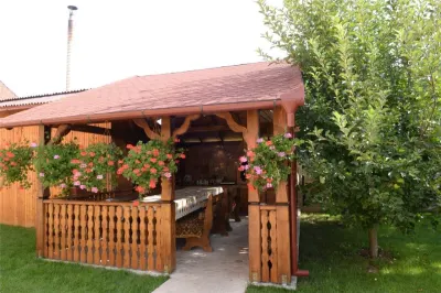 RECO Casa / Pensiune de inchiriat in Sanmartin – 8 camere - foto 4