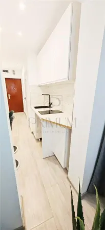 Apartament 1 camera Timișoara - poza 5